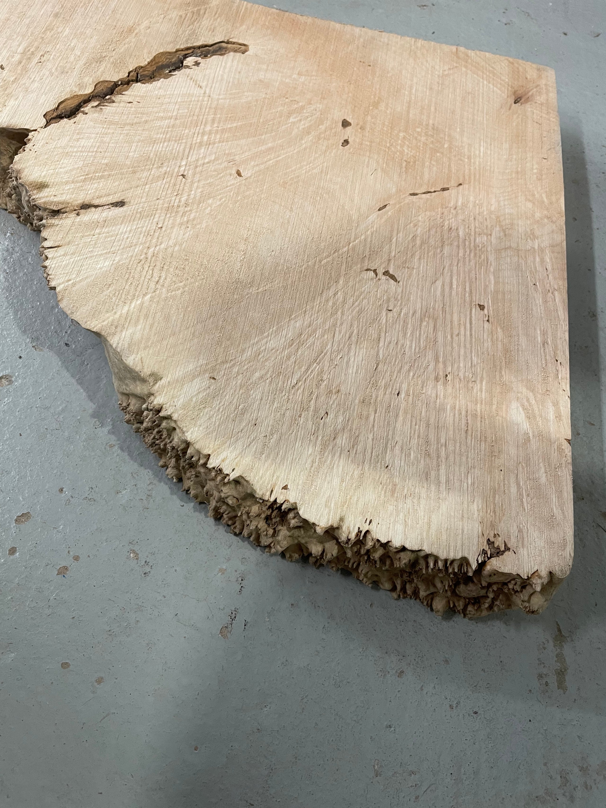 Maple Burl Slab (MA6113) – High West Wood Products